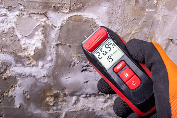 Best DIY Mold Remediation Support Services in Crab Orchard, WV