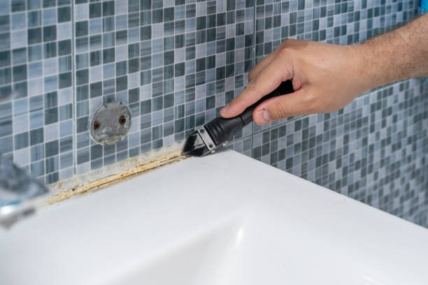 Best Post-Remediation Services in Crab Orchard, WV