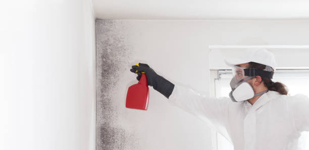 Best Mold Remediation for Schools in Crab Orchard, WV