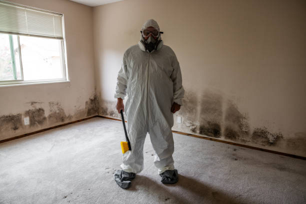 Professional Mold Remediation in Crab Orchard, WV